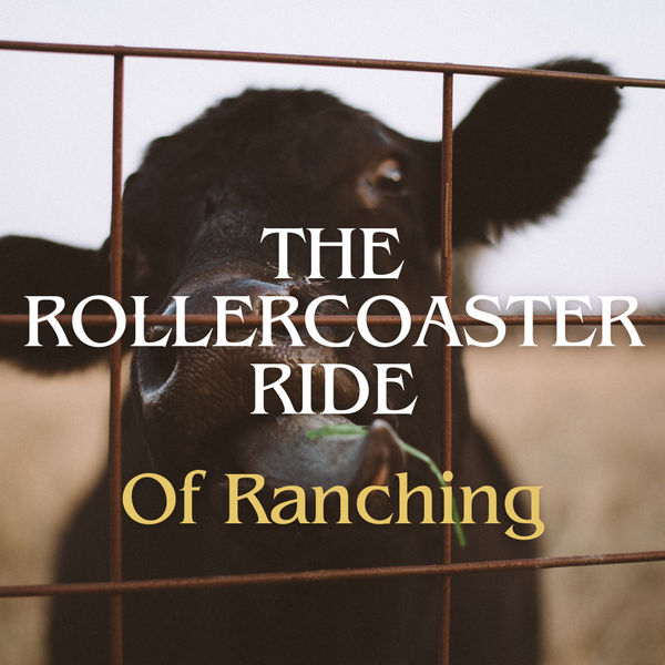 The Rollercoaster Ride of Ranching