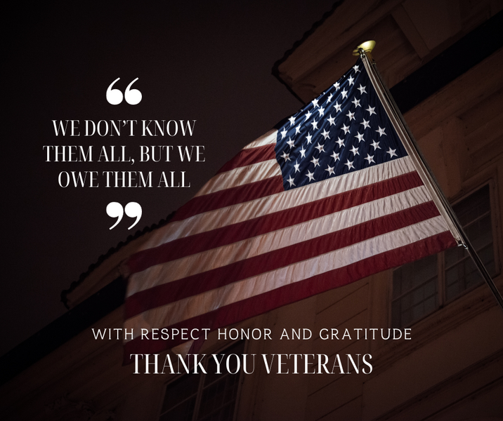 Honoring Our Heroes: Our Heartfelt Tribute this Veterans Day