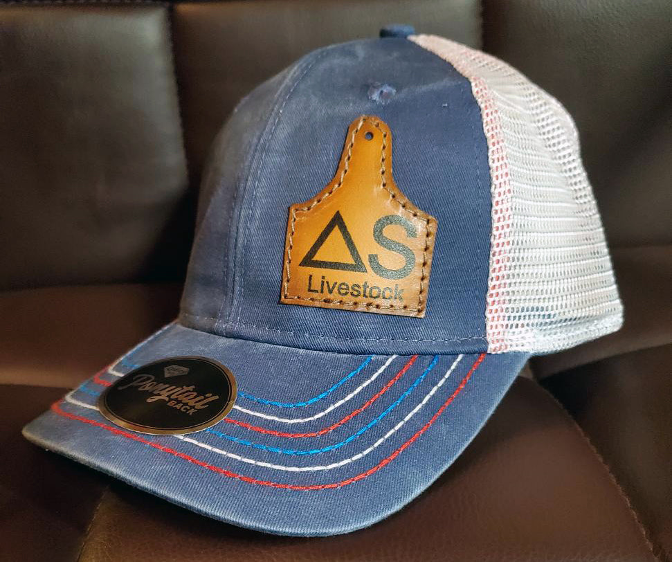 Triangle S- Ladies USA Ponytail Cap